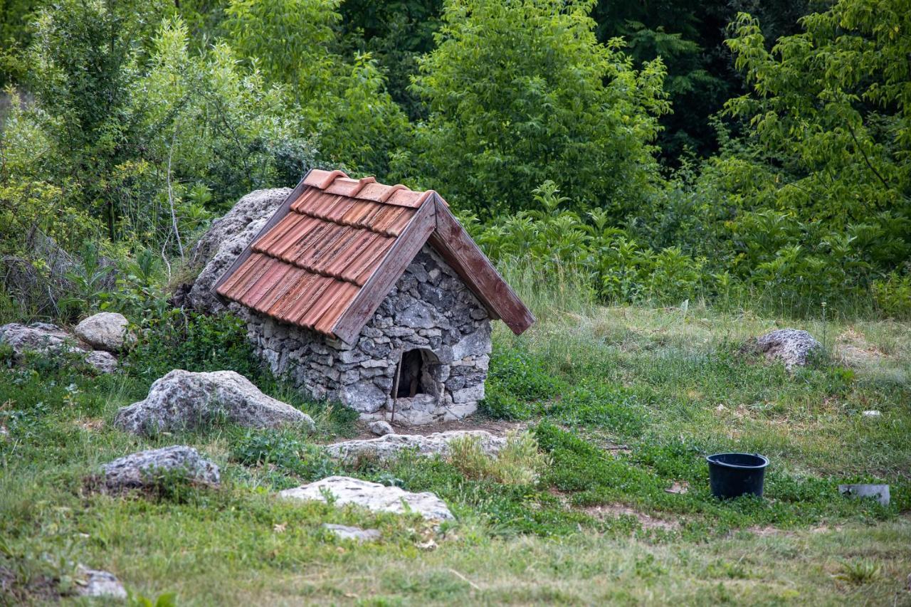 Casa Agricultorului Varzari Butuceny Exterior foto